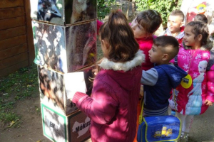 Beszámoló a Vécsi Kisvakond Óvoda pályázati programjáról