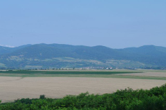IMGP5220