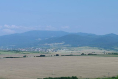 IMGP5221