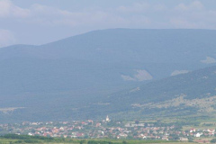 IMGP5222