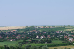 IMGP5228