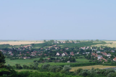 IMGP5232