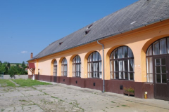 IMGP5246