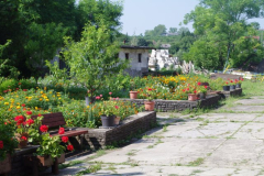 IMGP5248
