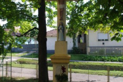 IMGP5279
