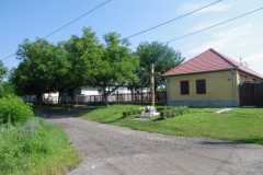 IMGP5290