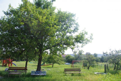 IMGP5296