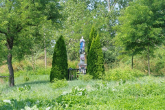 IMGP5314