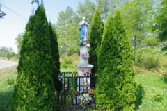 IMGP5316