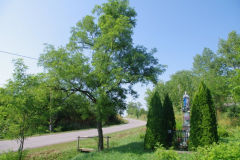 IMGP5318