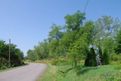 IMGP5325