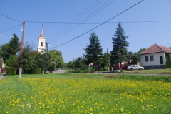 IMGP5334