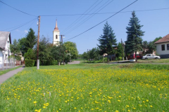 IMGP5338