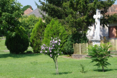 IMGP5358