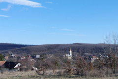 IMGP0653