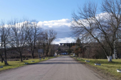 IMGP0661