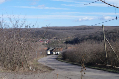 IMGP0677