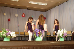 DSC05582