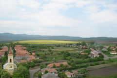 DSC05621