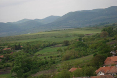 DSC05629