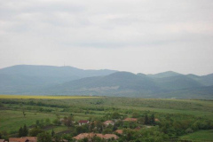 DSC05630