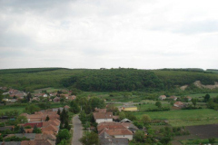 DSC05634
