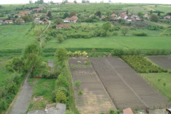 DSC05636