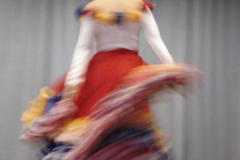DSC06035