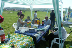 Fuji_20100501007