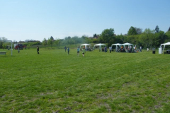 Fuji_20100501020